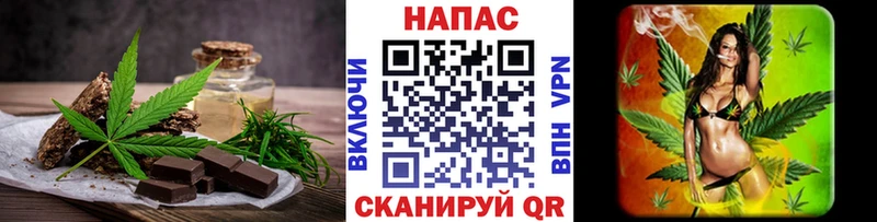 где найти   Ардон  Cannafood конопля 