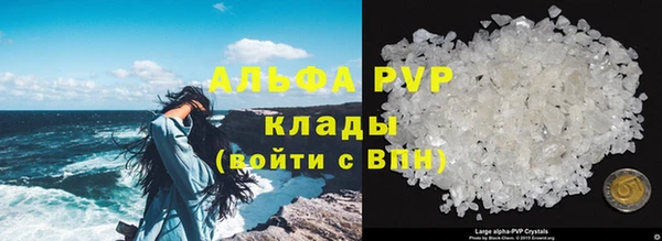крисы Алексин