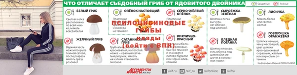 крисы Алексин