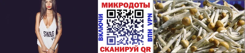 Псилоцибиновые грибы Psilocybine cubensis  Ардон 